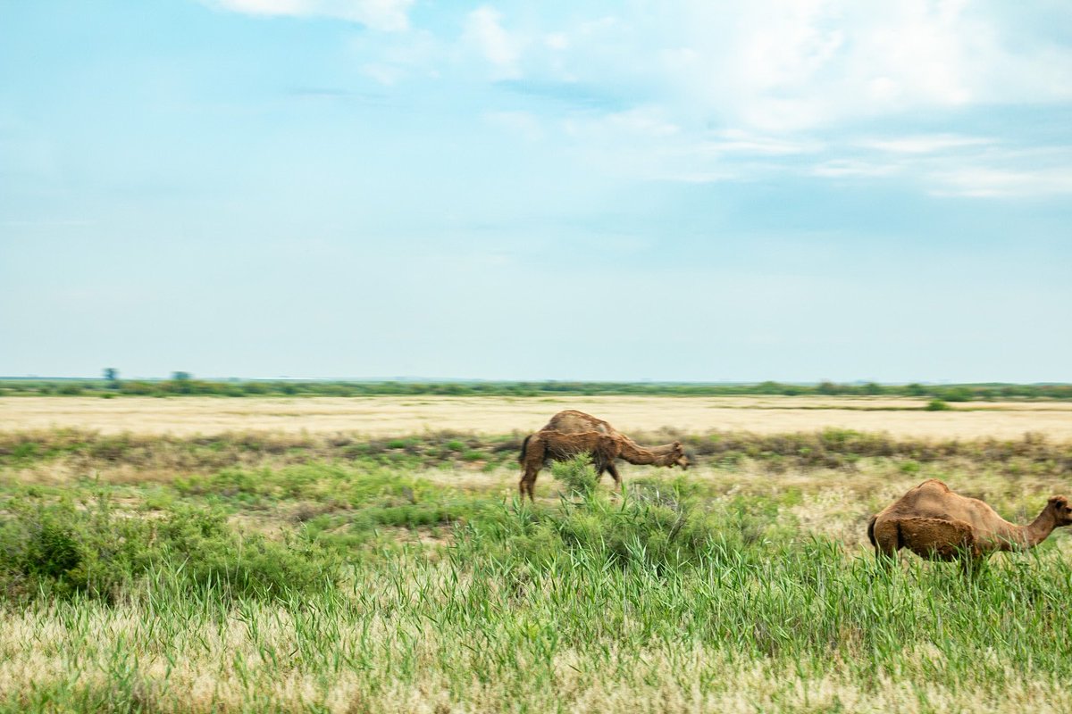 Josiah Kilburn tweet media