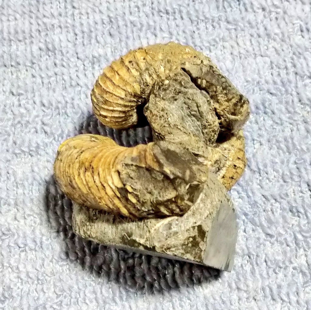 aozorahana_jun's tweet image. 8月6日は
平成3(1991)年、
ティム・バーナーズ=リー氏が開発した世界初の
#WorldWideWeb
がインターネット上に公開
#WWWの日
今や全世界に広がり表現技術が飛躍的に進み生活面で欠かす事の出来ないツールとなった
永享11(1439)年旧暦6月27日
室町時代に編纂された勅撰和歌集
#新続古今和歌集
が完成