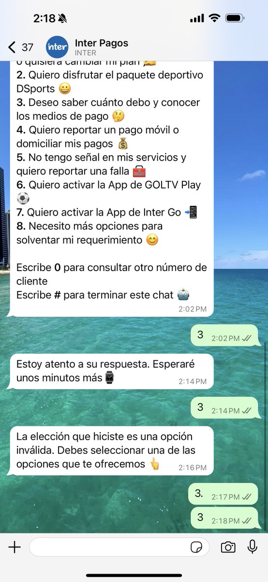 Leonardo G Di Giulio tweet media