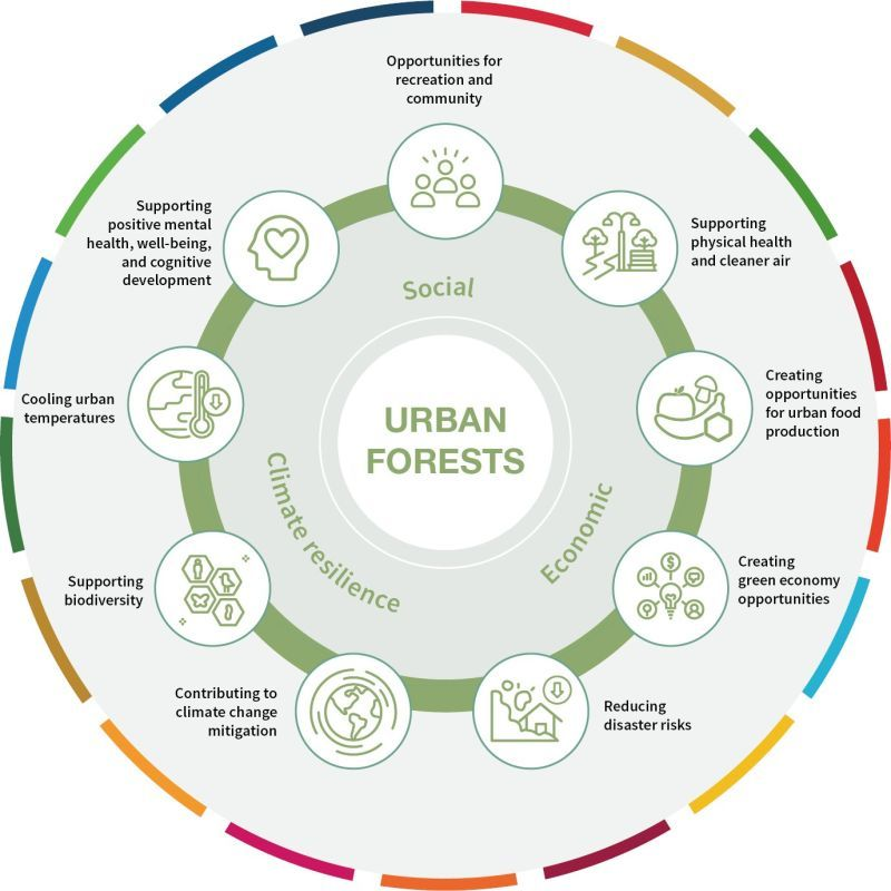 While #cities are responsible for an estimated 75% of all carbon emissions globally, they are also vulnerable to #climatechange 🌆🌍 

#Urban nature can simultaneously reduce the carbon footprint of cities and increase their #resilience 🌳 

via <a href="/UNECE/">UNECE</a>