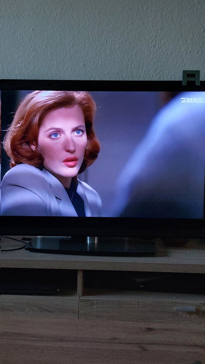 Dana Scully, ich hätte mich so gerne mal von ihr verhören lassen.

#AkteX #Pro7 #FranziskaPiguella
