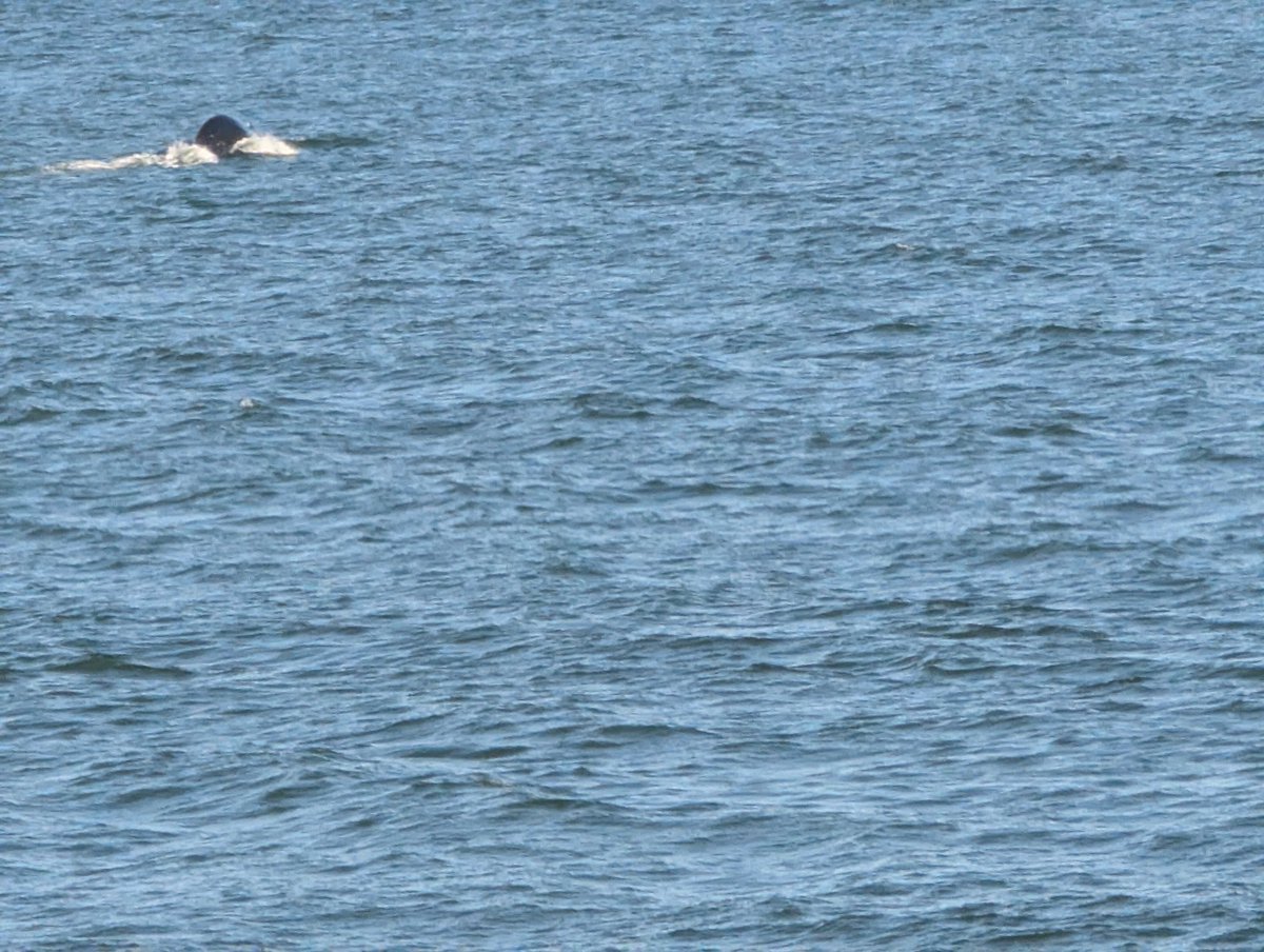 View from the balcony this morning.