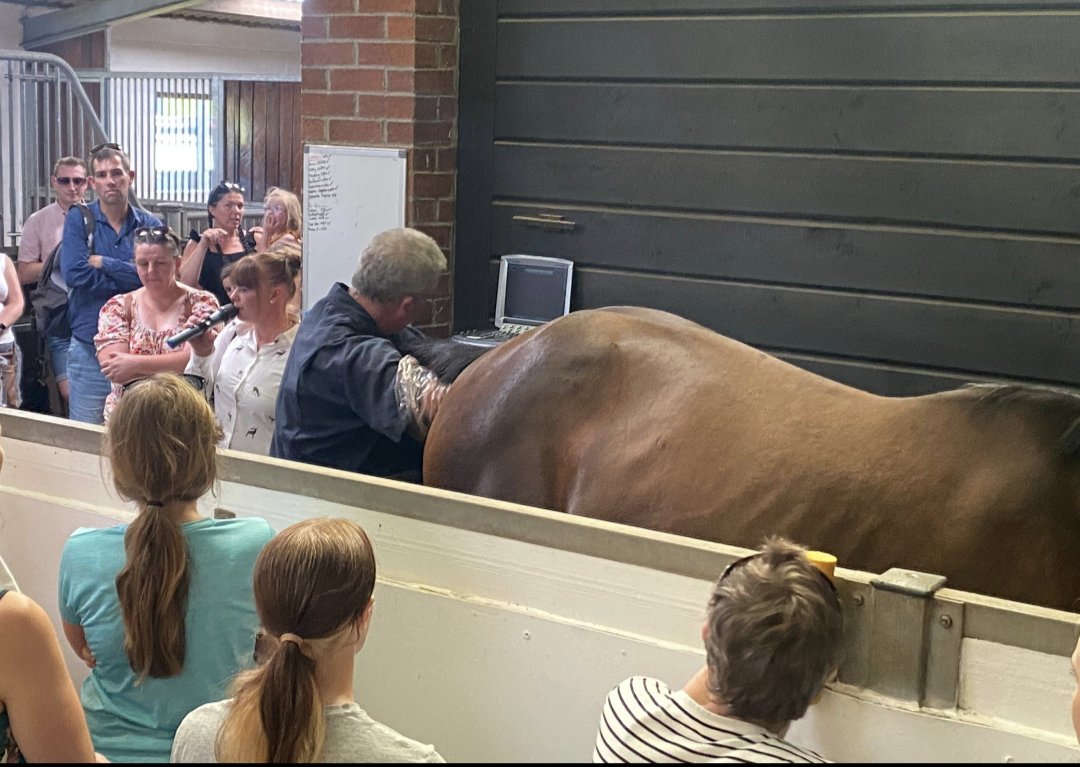 JessWestwood's tweet photo. One of our exciting demonstrations on our Open day is our vets scanning two mares that are in foal for you all to see. There will be plenty of opportunities for a Q&A.
Click the link to register ⬇️
https://t.co/ieHPv41Q1N
@GBRacing #NationalRacehorseWeek #VetScanning #StudWork https://t.co/mjNirruFk9