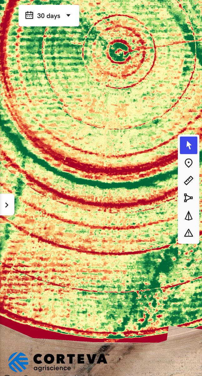Rex E. Brandon tweet media
