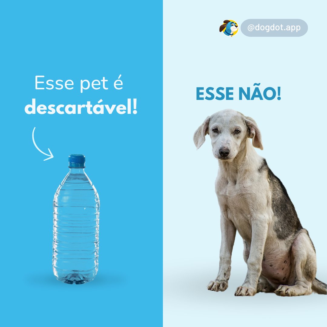 DogDot_app's tweet photo. O abandono de um pet é um ato cruel e desumano. Eles sentem, amam e confiam em nós. Antes de adotar, tenha certeza de que você está pronto para se comprometer a cuidar e amar por toda a vida. 
 #dicasparacachorros #dogdotapp #cachorro #adestramento #treinamento #adotenaocompre https://t.co/c5D7Oehp5I