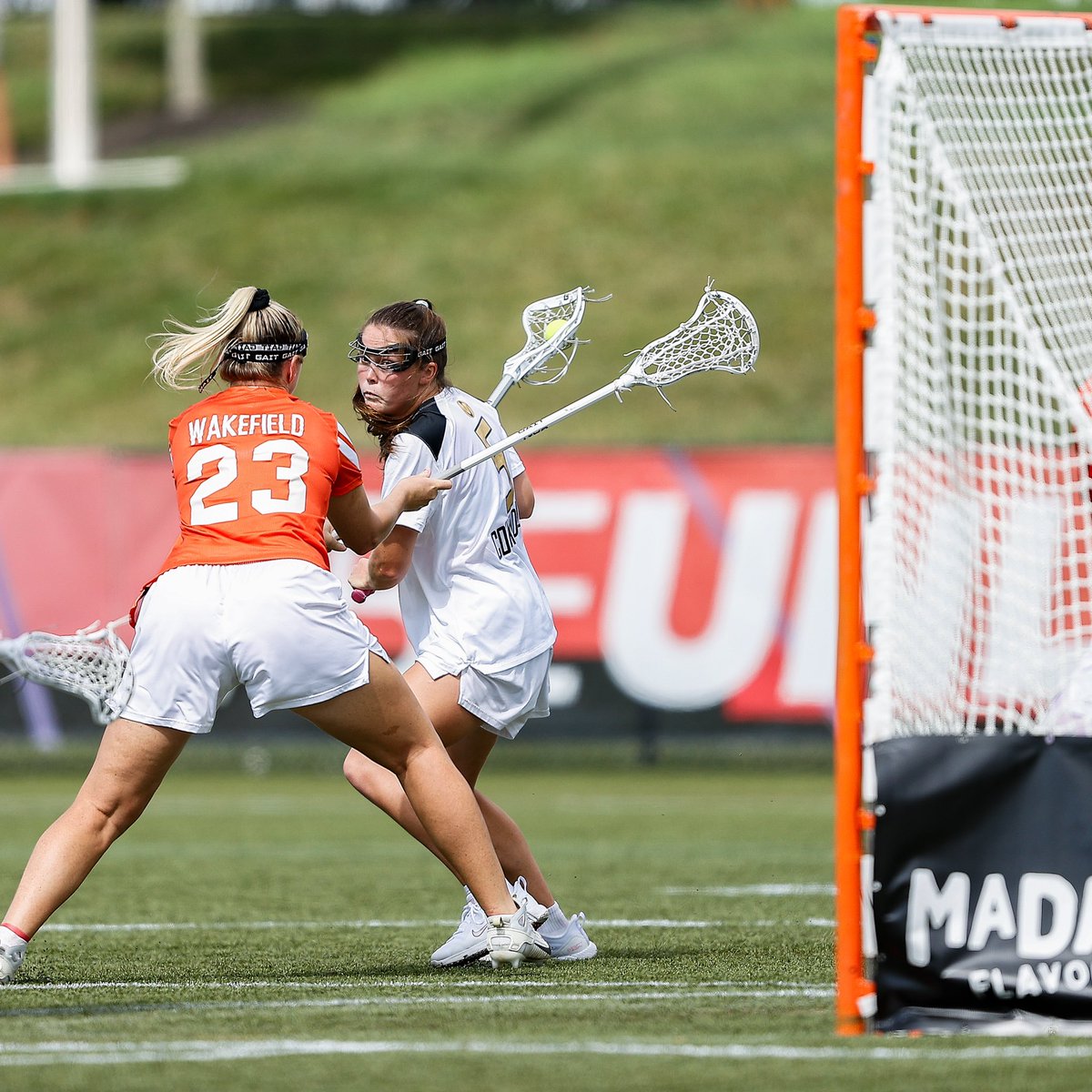 Jared D. Todhunter tweet media