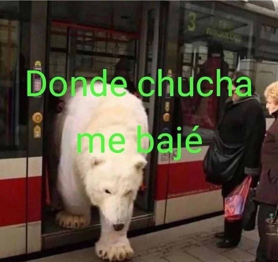 memes feos yo qué sé (@memefeos) on Twitter photo 