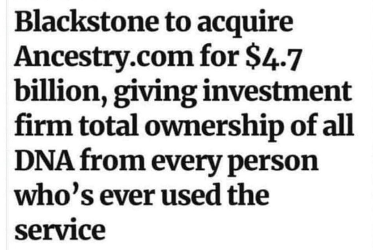 AlphaFox tweet media