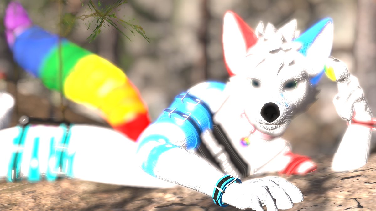 SaltyTBSL's tweet photo. Why ello there :3 https://t.co/xzmoU8B1nI