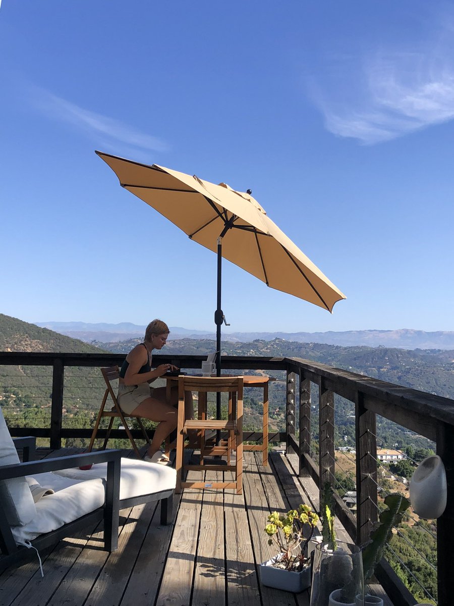 morgan young tweet media