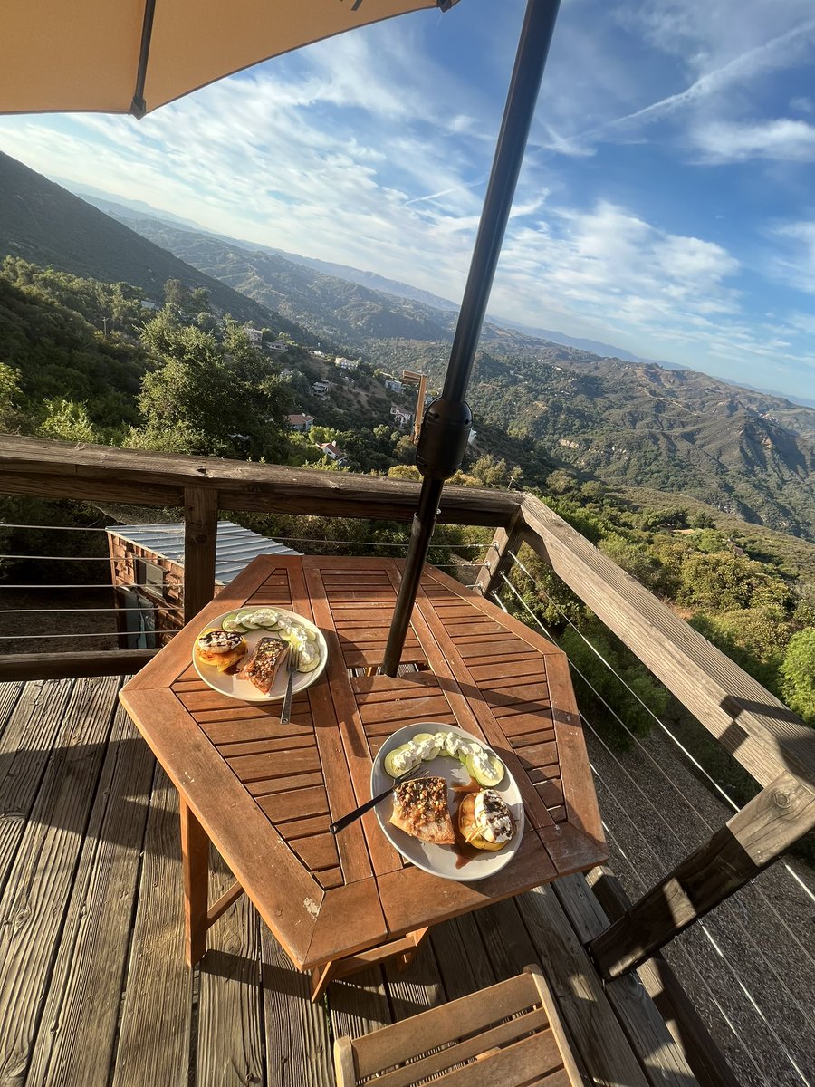 morgan young tweet media