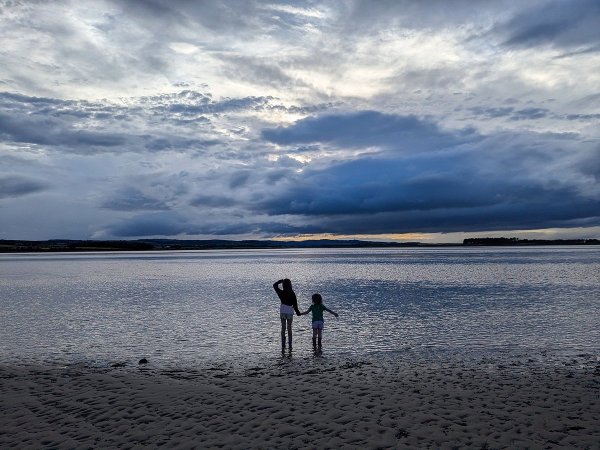 ForestSchoolCat tweet media