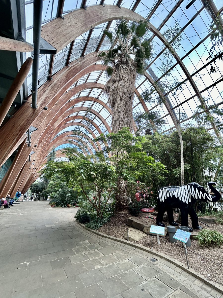 Dr Natalie E Grinvalds tweet media