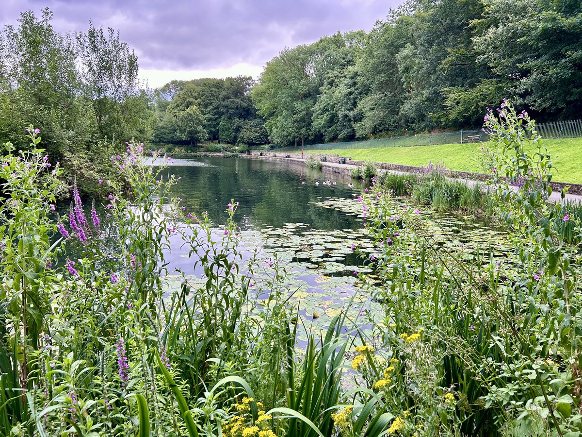 Dr Natalie E Grinvalds tweet media