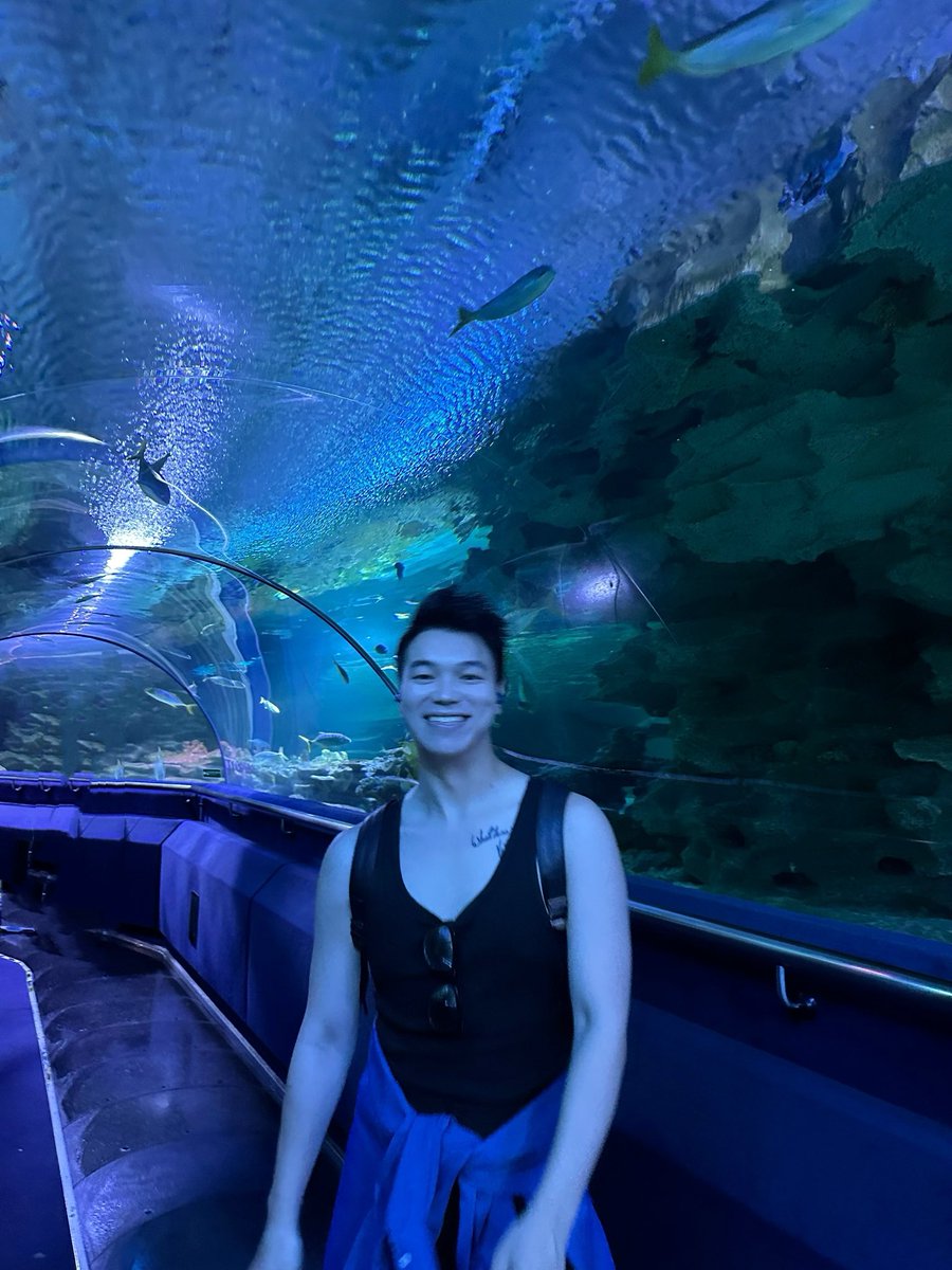 ppresto72262650's tweet photo. 水族馆很好🐟🐟但是得带上男票一起��然就只能抓着路人求拍照📷 https://t.co/kApHJVKs0S