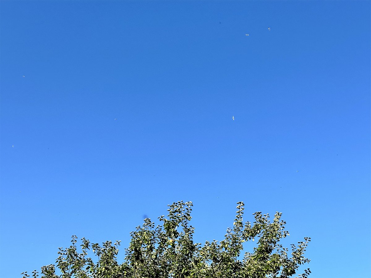 petshopboys's tweet image. Enjoying being on holiday! Neil x

#PetText