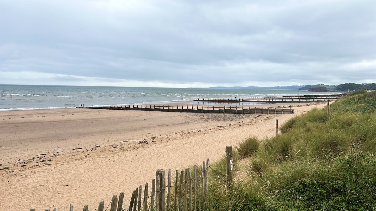 Half a day birding in South Devon finally got my 1st Green Sandpiper of the year at Exminster Marshes. Wood Sandpiper &amp; Garganey also seen there. No sign of the Purple Heron though. Also dipped Cirl Bunting at a site I normally get them.
