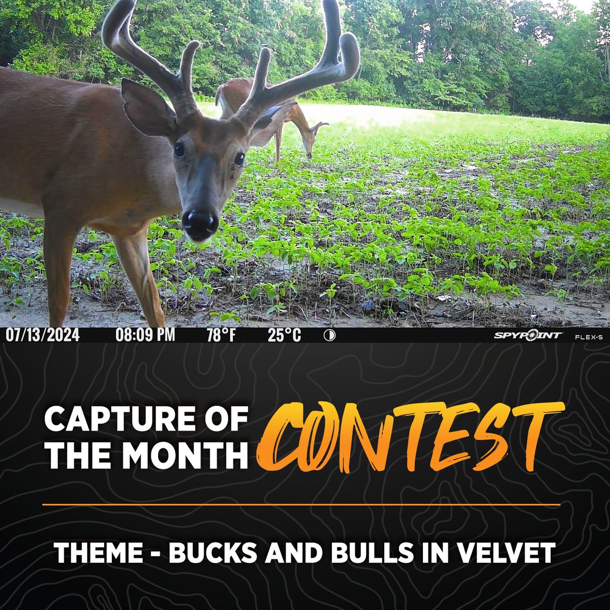 CAPTURE OF THE MONTH CONTEST!

In the month of August, share your best Bucks and Bulls In Velvet capture in the comments of this post on Facebook for your chance to win a FLEX-M! Best capture wins!