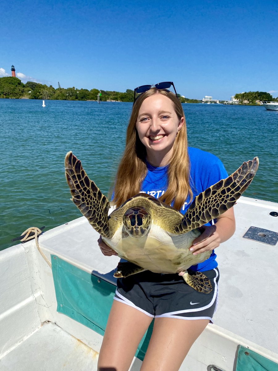 How do you go from studying at a land-locked college in south central  Pennsylvania to the azure waters of the Caribbean Sea as a sea turtle  researcher? You just keep swimming! 

Thanks to <a href="/gettysburg/">Gettysburg College</a> for sharing my story!

gettysburg.edu/news/stories?i…