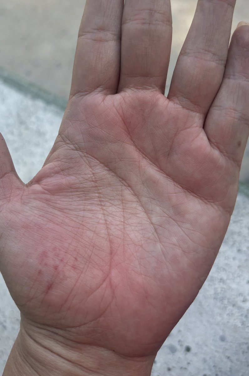 💞 𝓕𝓵𝓸𝓻 𝓔𝓼𝓽𝓱𝓮𝓵𝓪 💞 tweet media