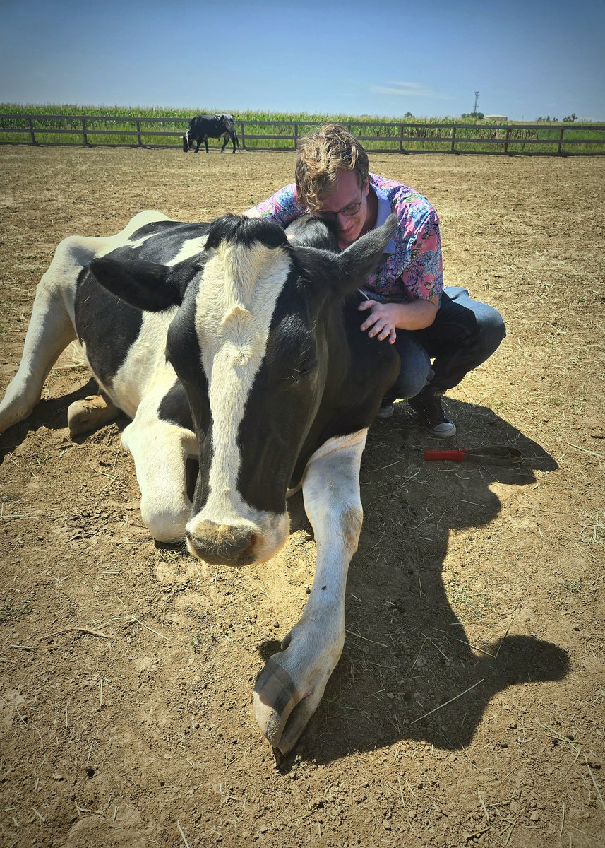 TotallySauceome's tweet photo. my cow arc came full circle today 🥲 https://t.co/MhDhGT3Zol