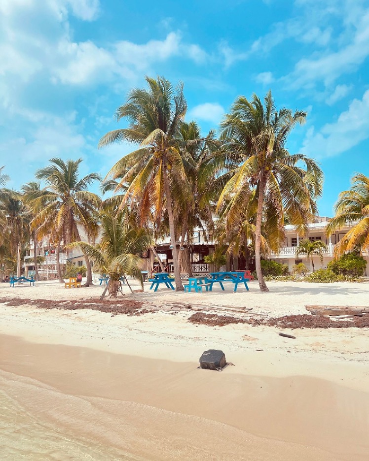 Ready for island bliss? Fly or take a boat ride to San Pedro. 🌟 Dive into Shark Ray Alley and savor local cuisine. Your dream vacation is await! 🐬🎉 #TravelBelize
📸: @karinarose_