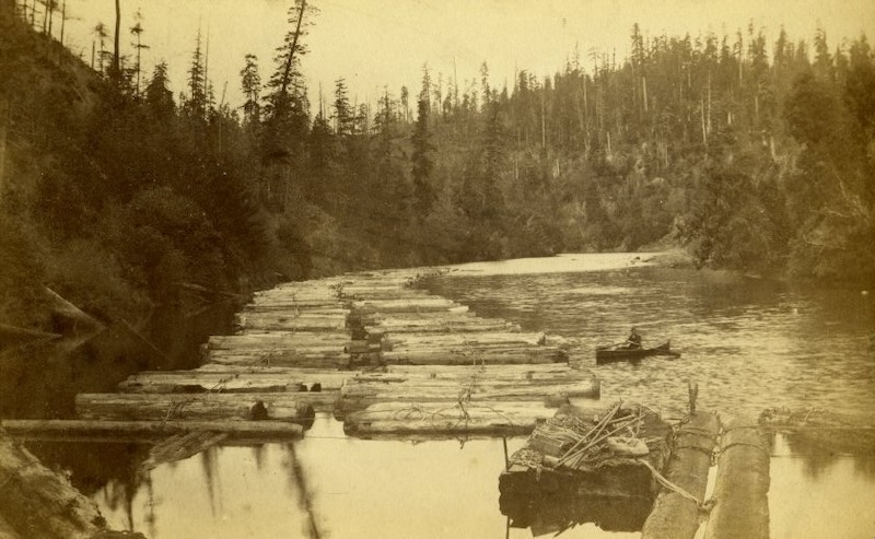 Moving Logs on Big River by Chuck Bush

During all of the early days of our fair Mendocino, logging was king. Once the big redwoods were felled, bucked (cut into movable lengths), and peeled (debarked), they had to be brought to the mill. That involved...

kelleyhousemuseum.org/moving-logs-on…