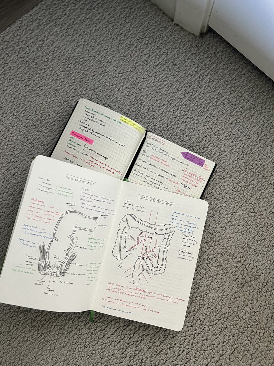 I E McElroy MD, MPH: @iemcelroymd.bsky.social tweet media