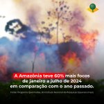 Photo by Seja Legal com a Amazônia (@SejaAmazonia)