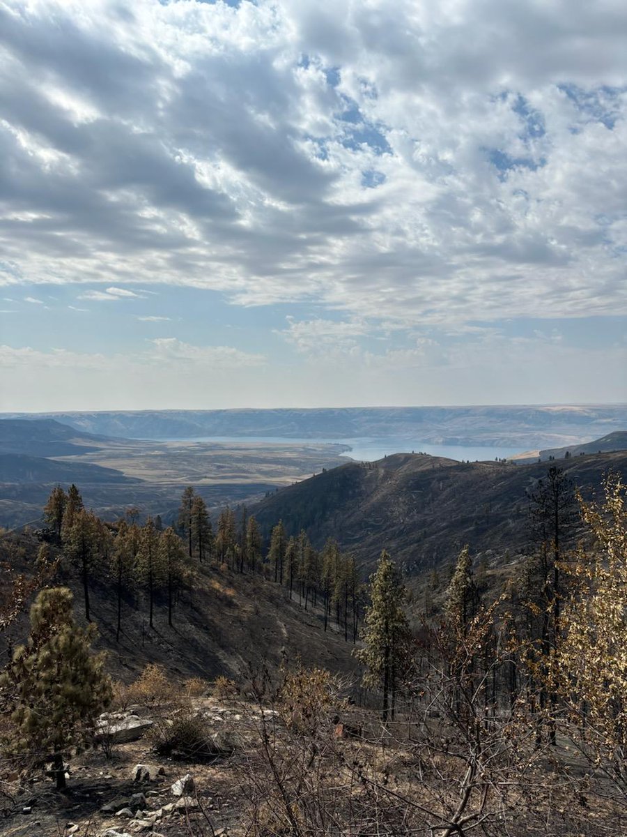 PatrickDePoe's tweet photo. Meeting with leaders at the Swawilla Fire line today underscored the stakes of tomorrow's election for me. I am beyond grateful to everyone who worked so hard to keep us safe and prevent further devastation. Let's continue this work together to reach a better future. https://t.co/Pe3dAHpeTd