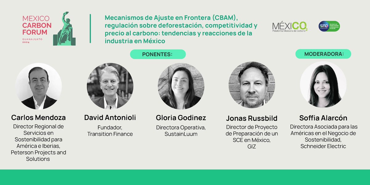 MÉXICO2 tweet media