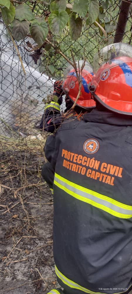 Vgrpc_MIJP's tweet photo. #5agosto | Oficiales del #SNGR realizan extinción y combate de incendio de vegetación en las adyacencias de UD2 de la parroquia de Caricuao, municipio Libertador. Siendo afectado 100 metros de vegetación.
#BalanceVgrpc
#PatriaSoberanaYPlena
#Vgrpc
#Sngr https://t.co/mwUobg5jen