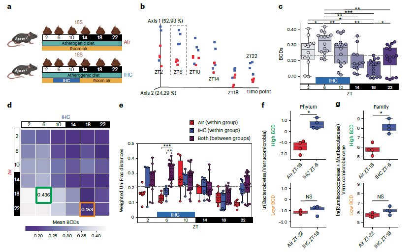 NIH ORIP (@nih_orip) on Twitter photo ⌚️Researchers discover different sample collection times can lead to different conclusions in microbiome studies. Allaband et al., <a href="/NIAIDnews/">NIAID News</a>, @nih_nhlbi, <a href="/theNCI/">National Cancer Institute</a>, <a href="/NIDDKgov/">NIDDK</a>, <a href="/ncats_nih_gov/">NCATS</a>, <a href="/NIAAAnews/">NIAAA News</a> <a href="/UCSDBMS/">UCSD Biomed Sciences PhD Program</a> (ORIP support through T32OD017863) pubmed.ncbi.nlm.nih.gov/38951660/ ⌚️Researchers discover different sample collection times can lead to different conclusions in microbiome studies. Allaband et al., <a href="/NIAIDnews/">NIAID News</a>, @nih_nhlbi, <a href="/theNCI/">National Cancer Institute</a>, <a href="/NIDDKgov/">NIDDK</a>, <a href="/ncats_nih_gov/">NCATS</a>, <a href="/NIAAAnews/">NIAAA News</a> <a href="/UCSDBMS/">UCSD Biomed Sciences PhD Program</a> (ORIP support through T32OD017863) pubmed.ncbi.nlm.nih.gov/38951660/