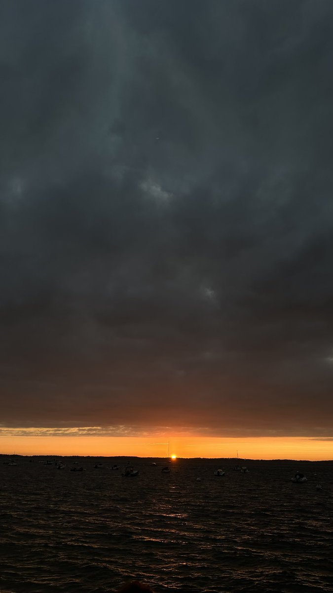 Liza Enebeis (@loveliza) on Twitter photo 