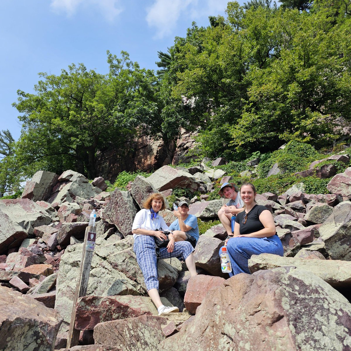 SILVIA CAVAGNERO tweet media