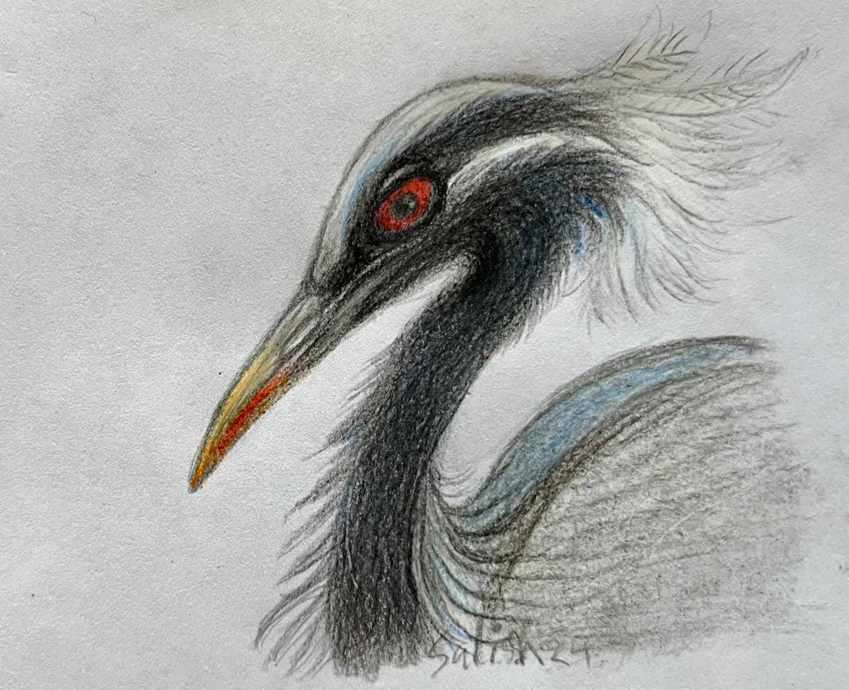 tnv_indore tweet media