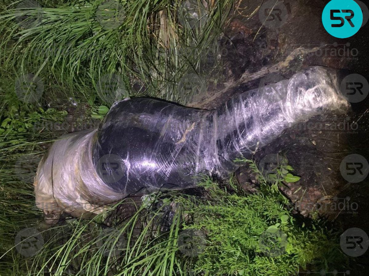 🚨| | La "Jackie", novia de Alexander Armando, conocido como "El Jaguar", reapareció en un video sometida por un grupo armado del Cártel Jalisco Nueva Generación. Fue hallada este lunes en la carretera de Santa Clara Ocoyucan, cerca de los límites de Ocoyucan con Azumiatla.