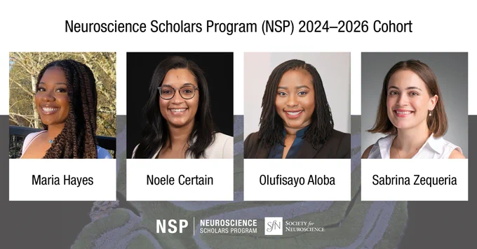 Scientific background. Neuroscience Scholars Program (NSP) 2024–2026 Cohort. Headshot of Maria Hayes. Headshot of Noële Certain. Headshot of Olufisayo Aloba. Headshot of Sabrina Zequeria. Neuroscience Scholars Program logo. Society for Neuroscience logo. 