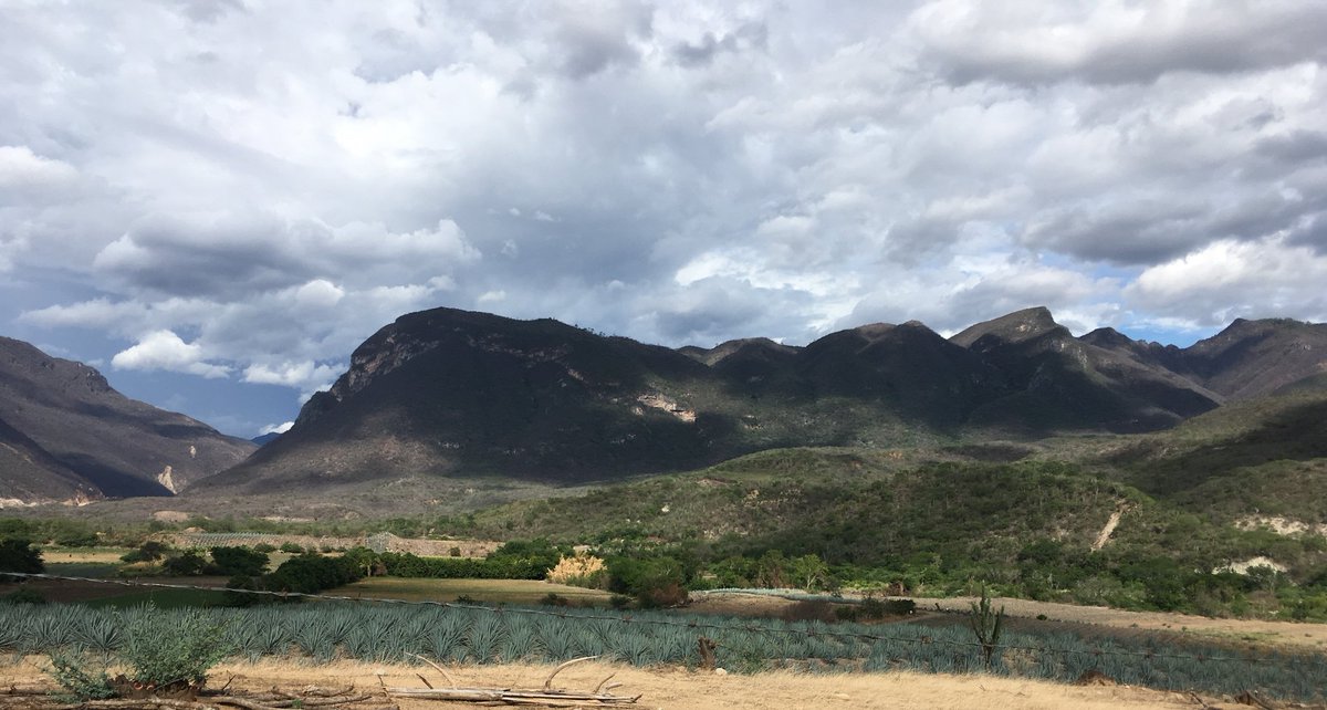 eli_nolan's tweet photo. #HONORMagicMoments #HONORMagicMomentsMx #HONORxUVM #Naturaleza https://t.co/sKtc2s9V1W