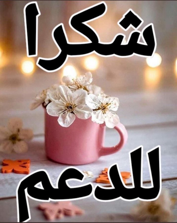 الفتى tweet media