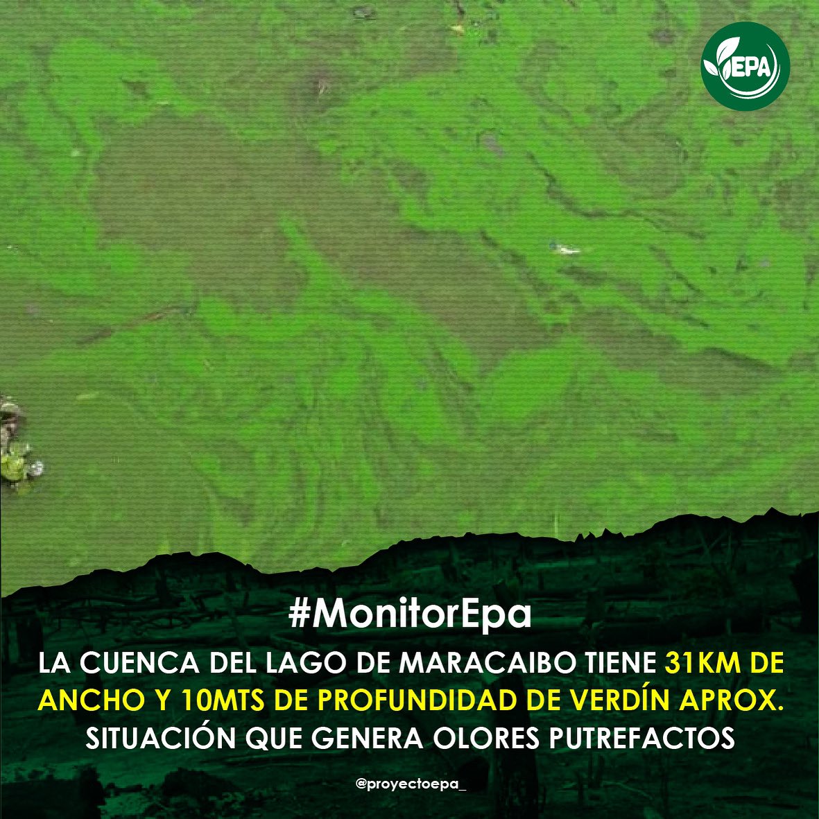 proyectoepa_'s tweet photo. #MonitorEpa | Permanentemente el Lago de Maracaibo presenta una grave situación ambiental, que ha ocasionado desde el deterioro de la biodiversidad, hasta problemas de salud que a la fecha están sin atender. https://t.co/o1Nz5cVjJq