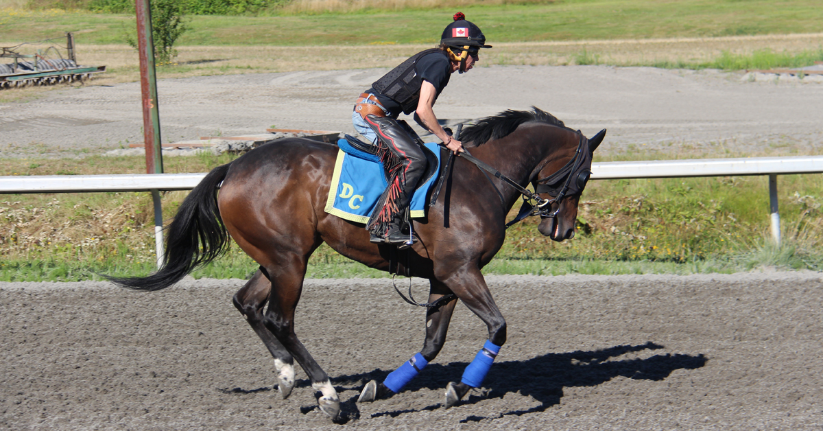 Scenes from the Backstretch at Hastings
Trainers and their horses have been busy prepping for BC Cup Day, the west coast racecourse's much-anticipated signature holiday event. #horseracing #HastingsRacecourse #BCCup
canadianthoroughbred.com/magazine/profi…