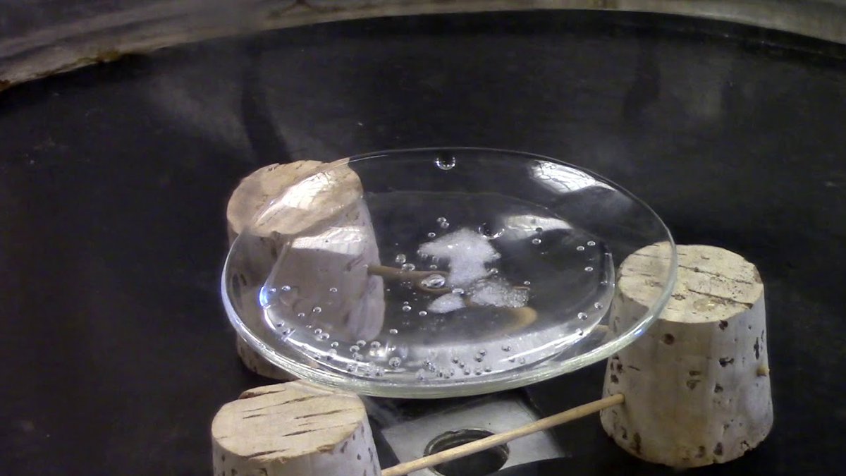 FactsInPosts's tweet photo. " Did you know that water can actually boil and freeze at the same time. This is a known phenomenon, named the triple point "

#Water #Funfacts #Triplepoint https://t.co/te1NYRusJl