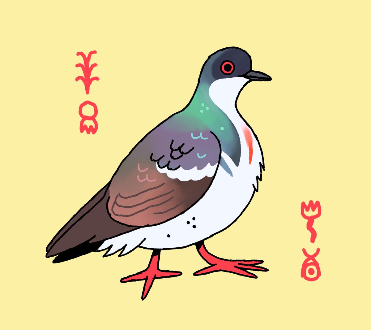 negros bleeding heart pigeon! ❤️
#avianaugust