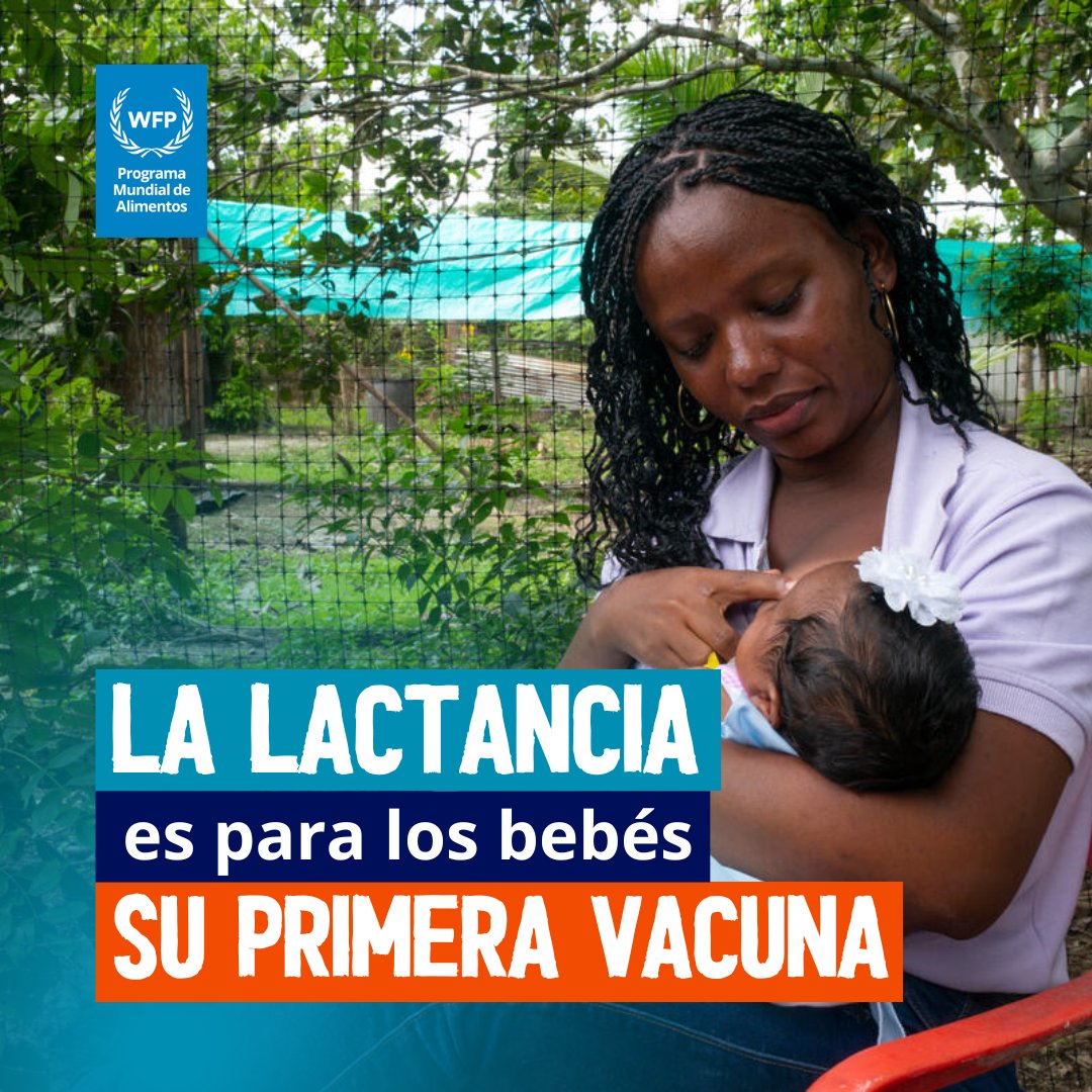 WFP_es's tweet photo. ¡La lactancia materna es la primera vacuna de un bebé! Protege contra infecciones, fortalece el sistema inmunológico y promueve un desarrollo saludable. 💙

#SemanadelaLactanciaMaterna https://t.co/ezQmHgGPEQ