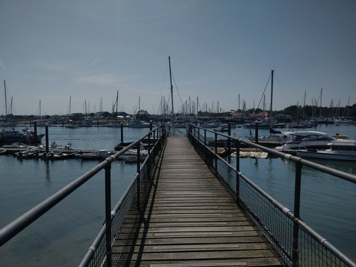 Tim Shaw tweet media