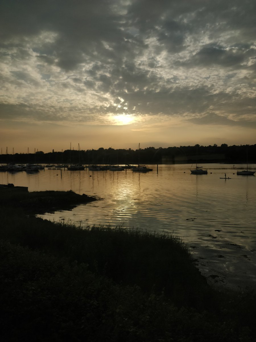 Tim Shaw tweet media