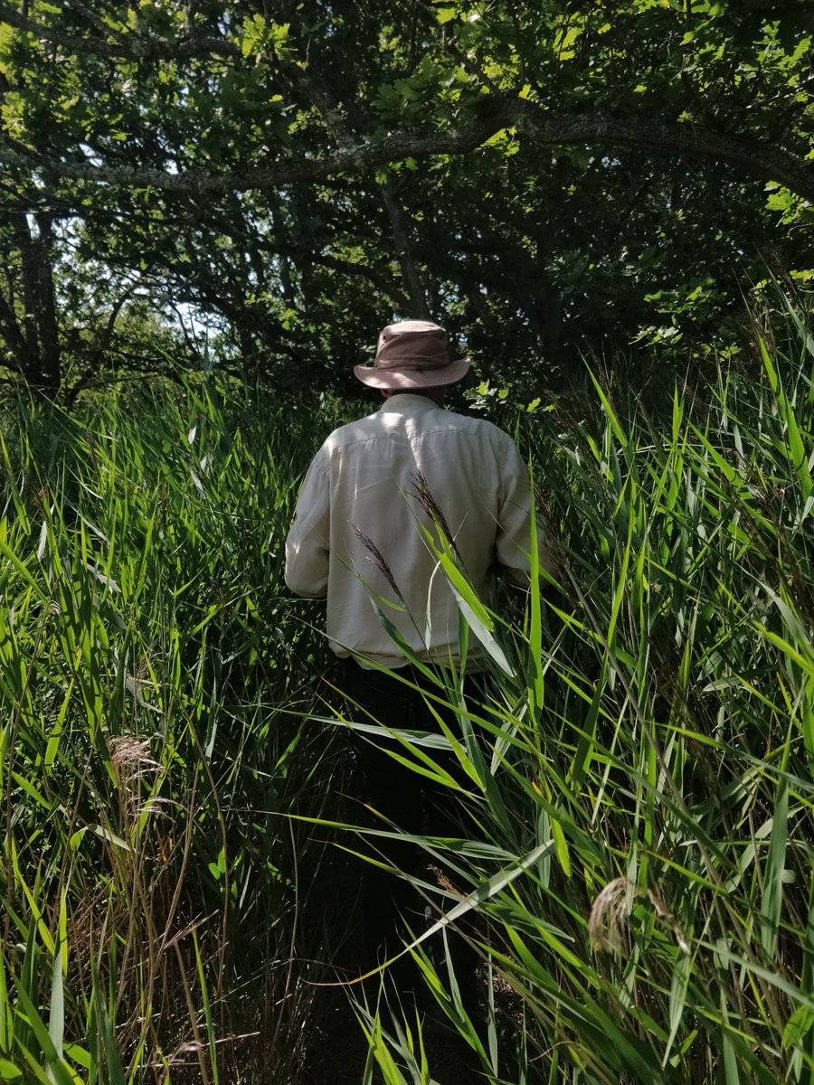 Tim Shaw (@tim4shaw) on Twitter photo Recording bats, insects, pistol shrimp, limpets and wading birds along the Hamble Peninsula with <a href="/chrisrwatson/">Chris Watson</a> Recording bats, insects, pistol shrimp, limpets and wading birds along the Hamble Peninsula with <a href="/chrisrwatson/">Chris Watson</a>