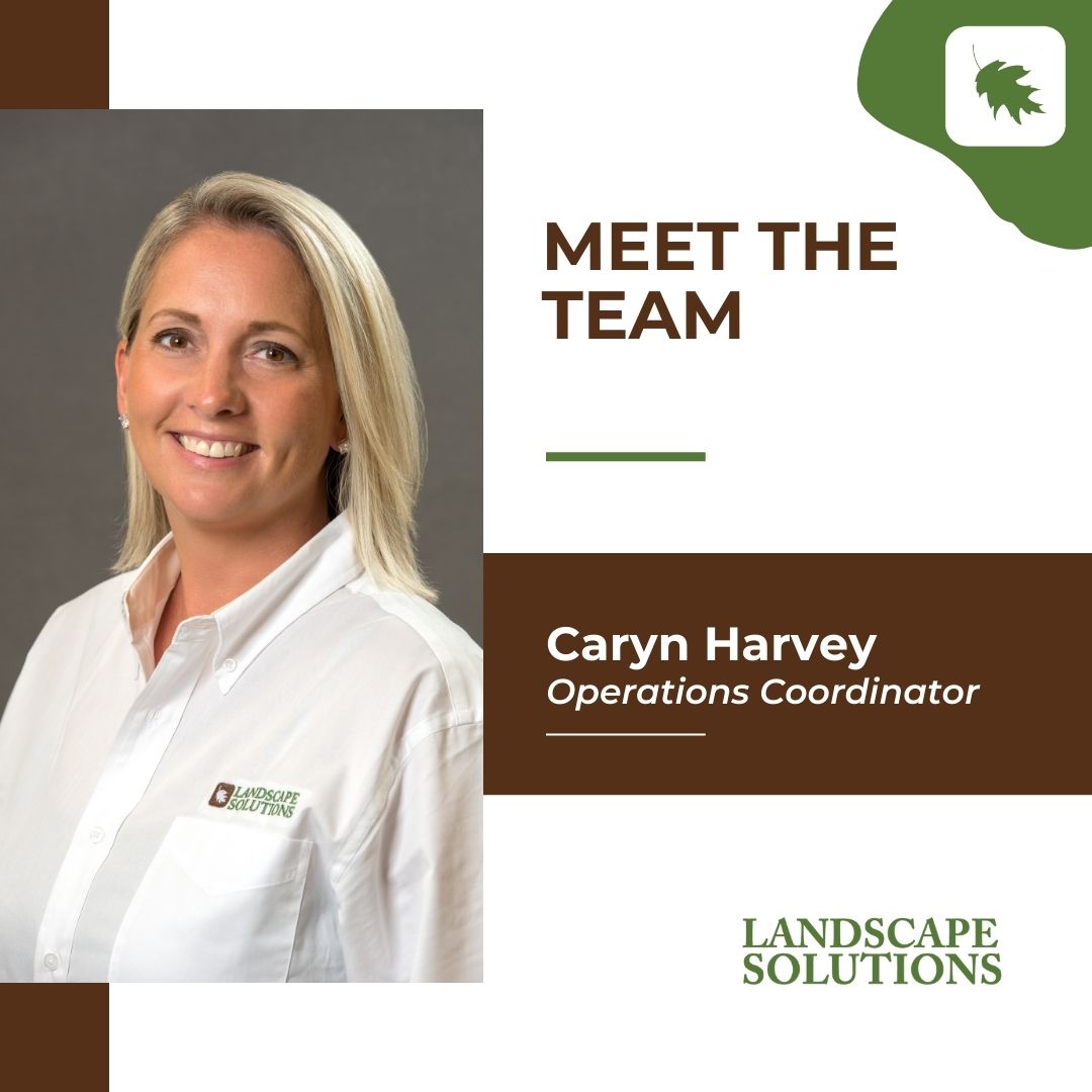 LandSol_IN's tweet photo. Another Monday, another introduction! Today, we are introducing our Operations Coordinator, Caryn Harvey!

#employee #landscape #landscapesolutions #appreciation #operationscoordinator #employeeappreciation https://t.co/9e3W5TRN8C