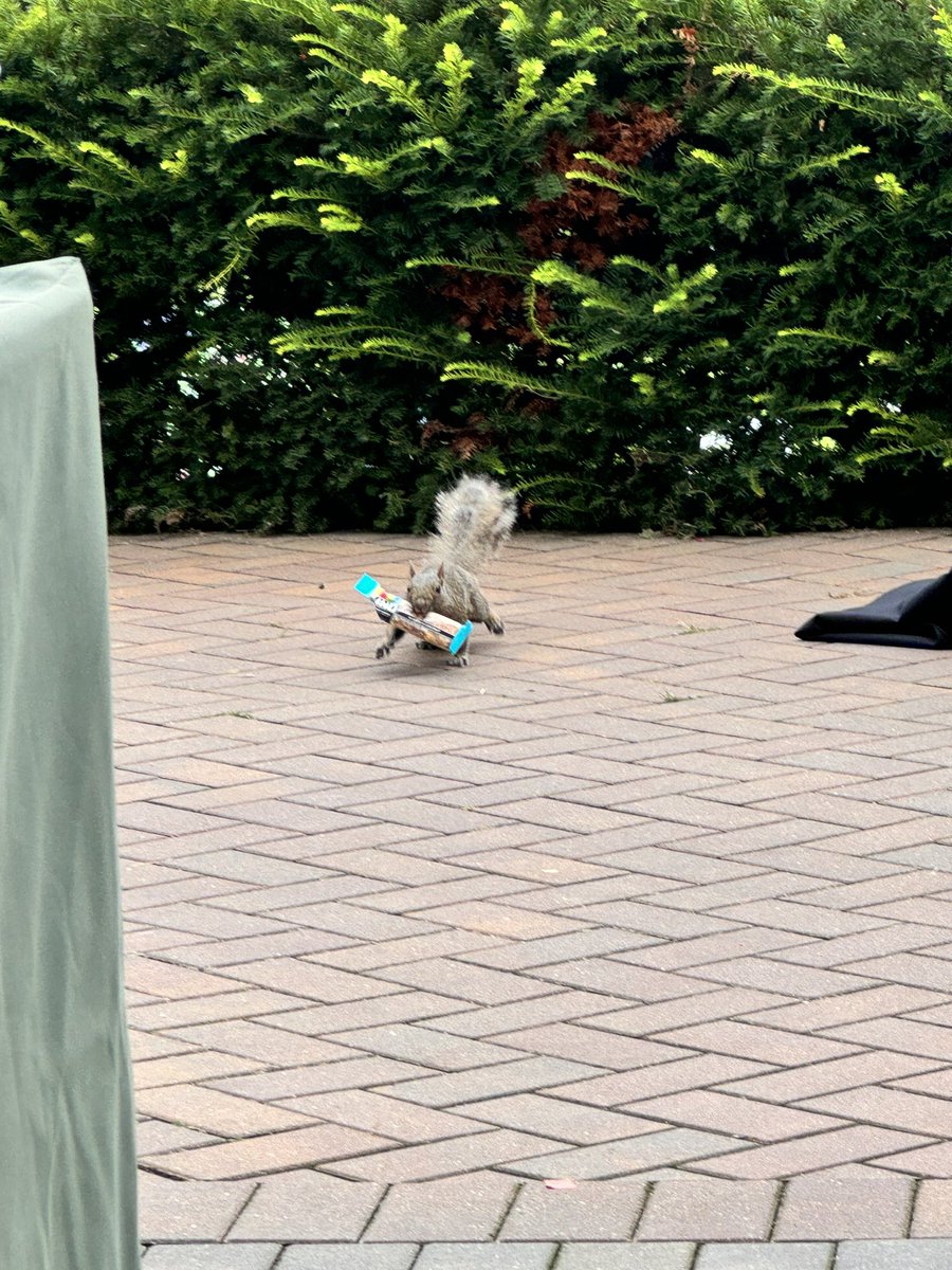 π»πππππ π±πππππ (@drlaurenbishop) on Twitter photo #theft at the <a href="/UWWaismanCenter/">Waisman Center</a> golf outing today. The authorities have been contacted and heβs being charged with cuteness #theft at the <a href="/UWWaismanCenter/">Waisman Center</a> golf outing today. The authorities have been contacted and heβs being charged with cuteness